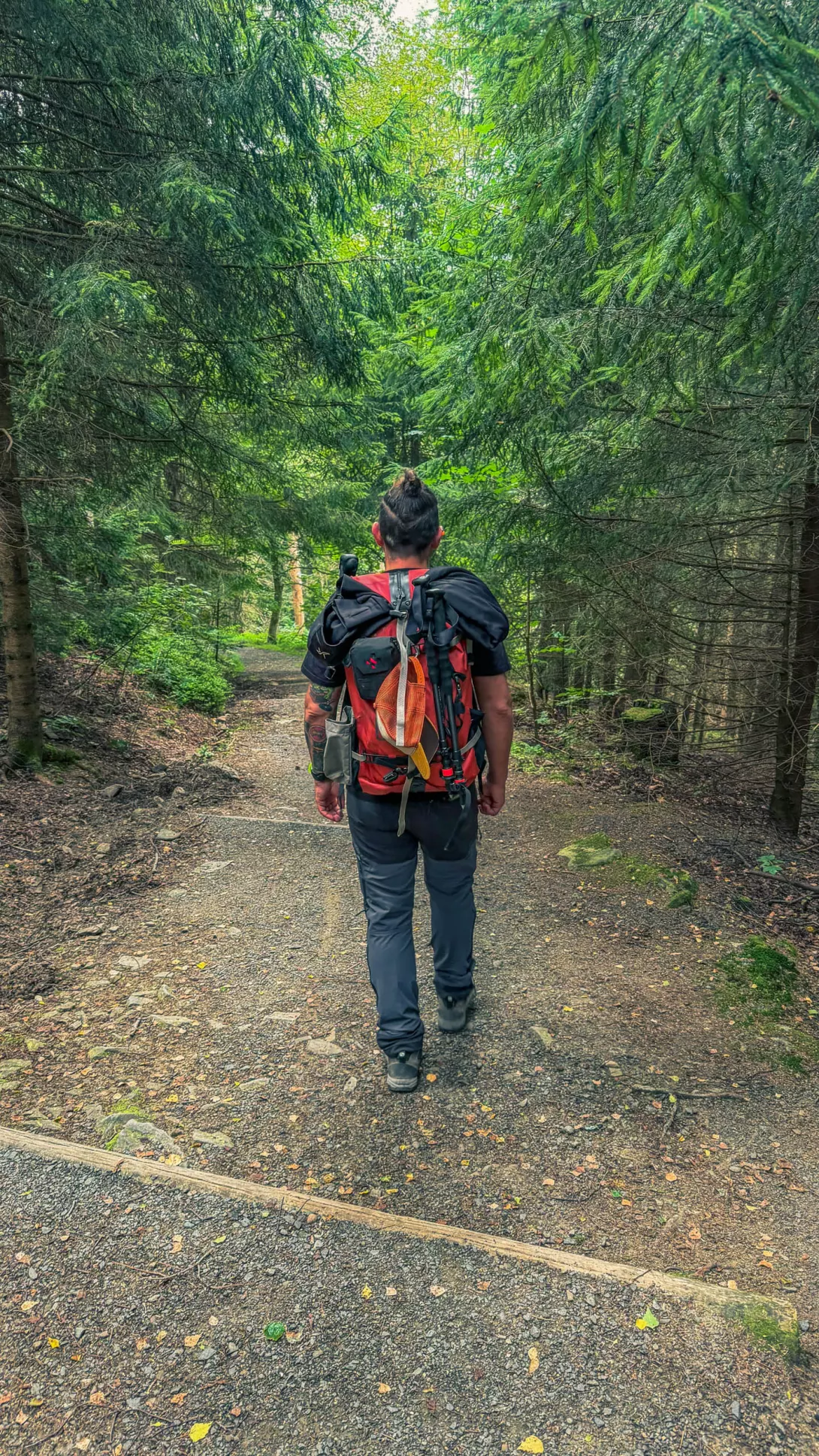 20260801.Harz.Oderbrück.und.Umgebung.Bild.08