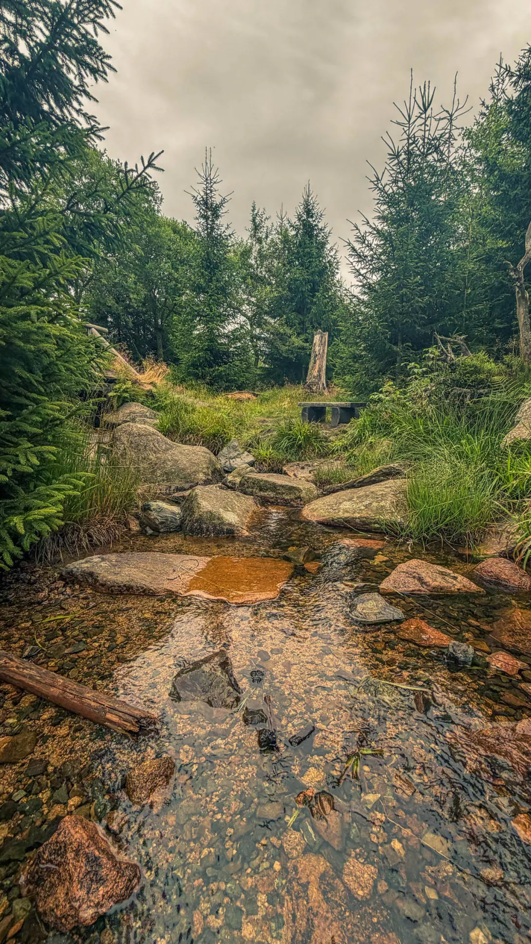 20260801.Harz.Oderbrück.und.Umgebung.Bild.14
