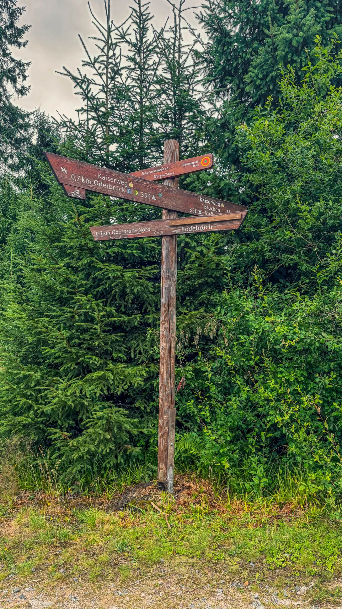 20260801.Harz.Oderbrück.und.Umgebung.Bild.15