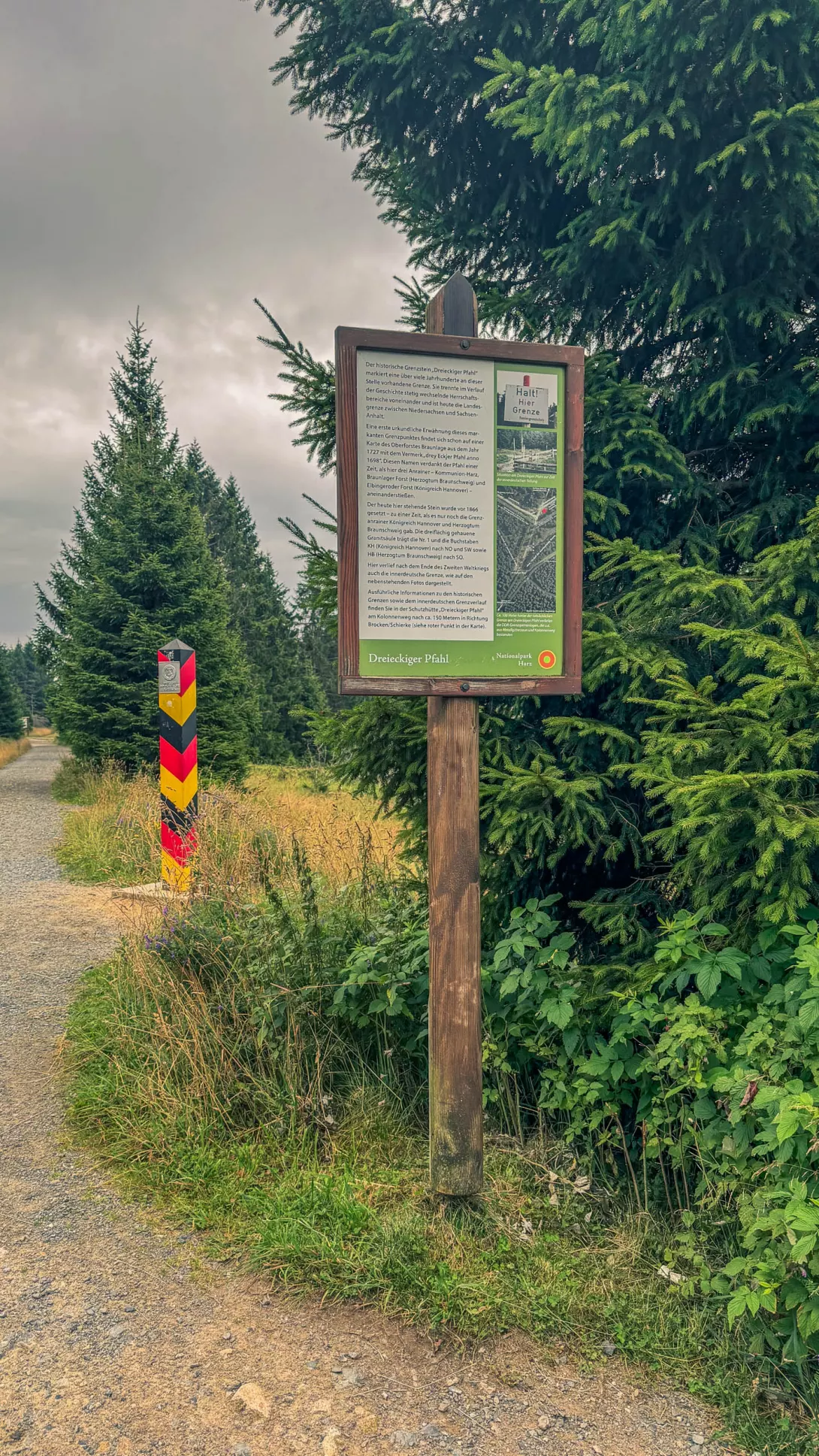20260801.Harz.Oderbrück.und.Umgebung.Bild.23