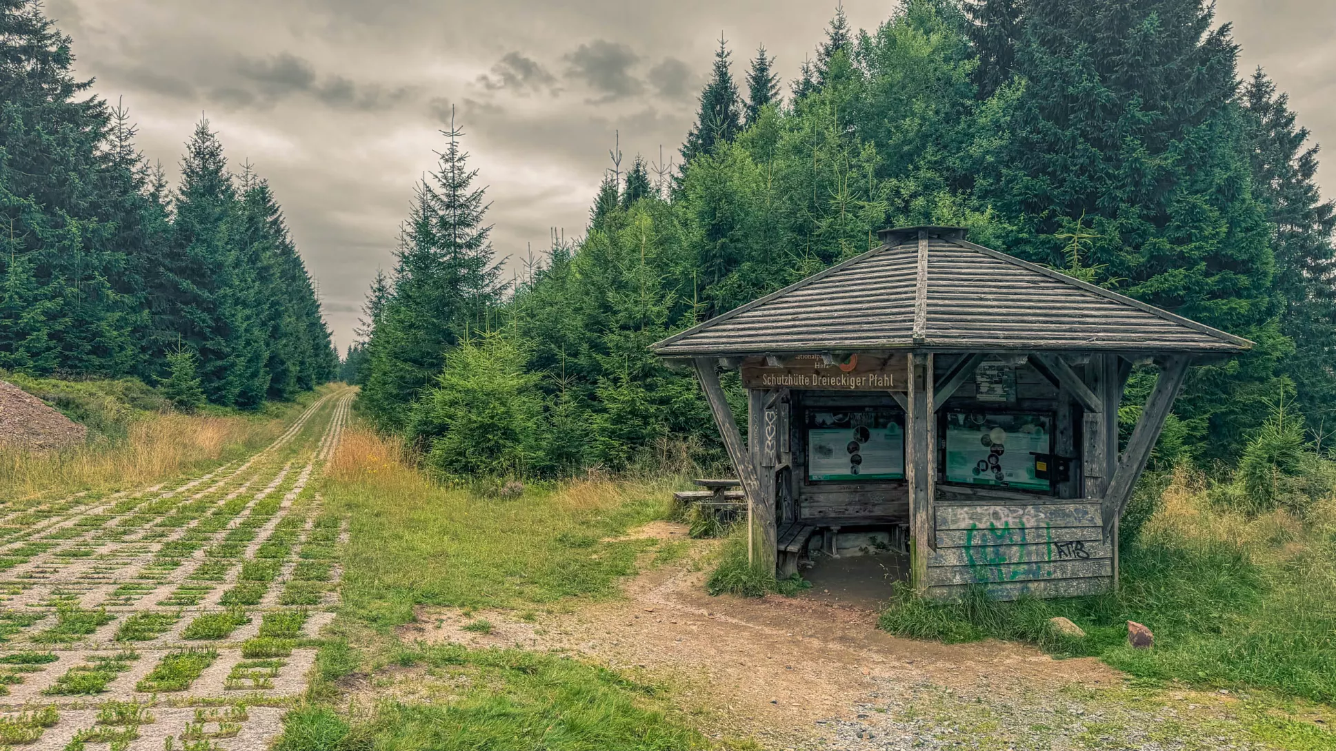 20260801.Harz.Oderbrück.und.Umgebung.Bild.24
