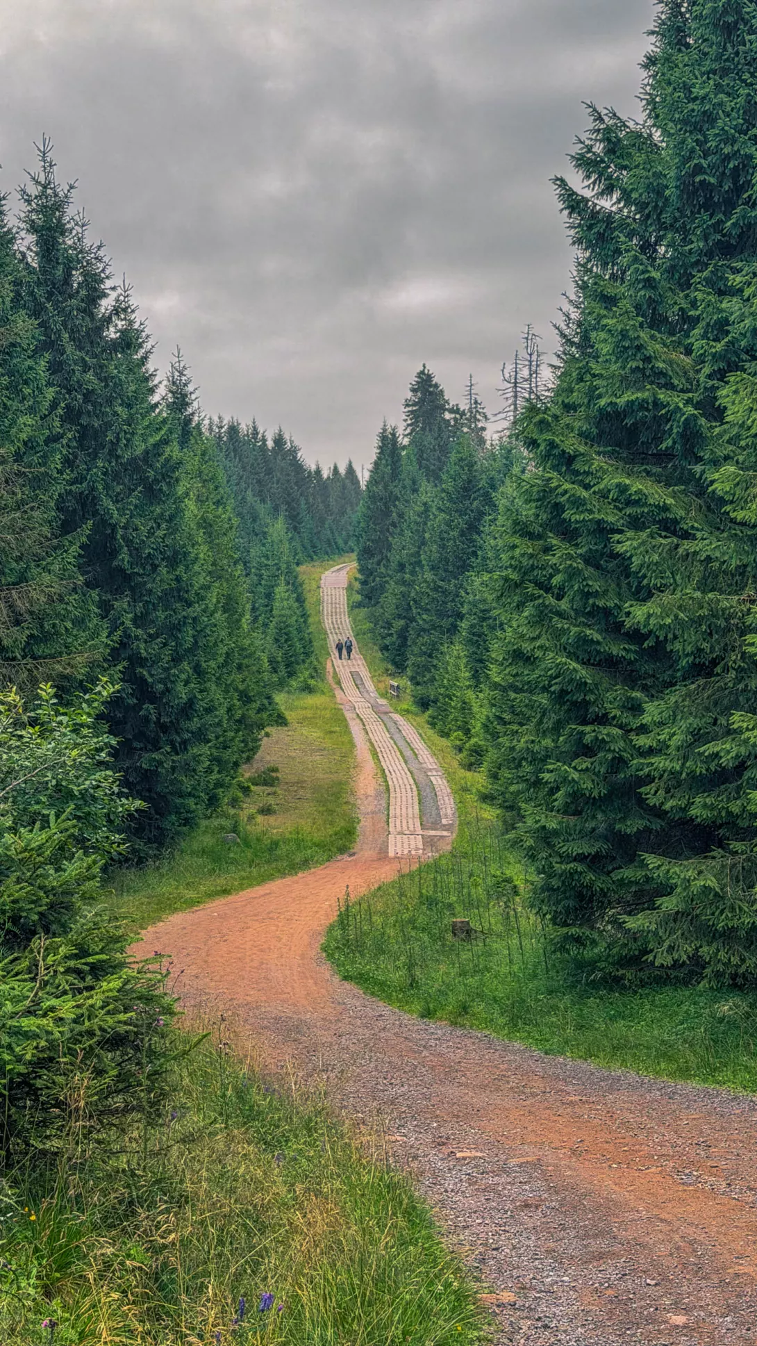 20260801.Harz.Oderbrück.und.Umgebung.Bild.27