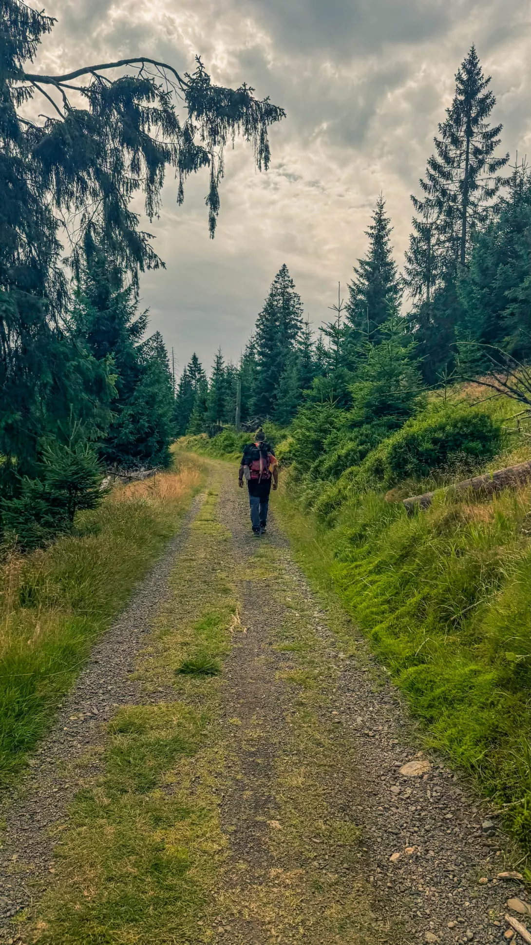 20260801.Harz.Oderbrück.und.Umgebung.Bild.32