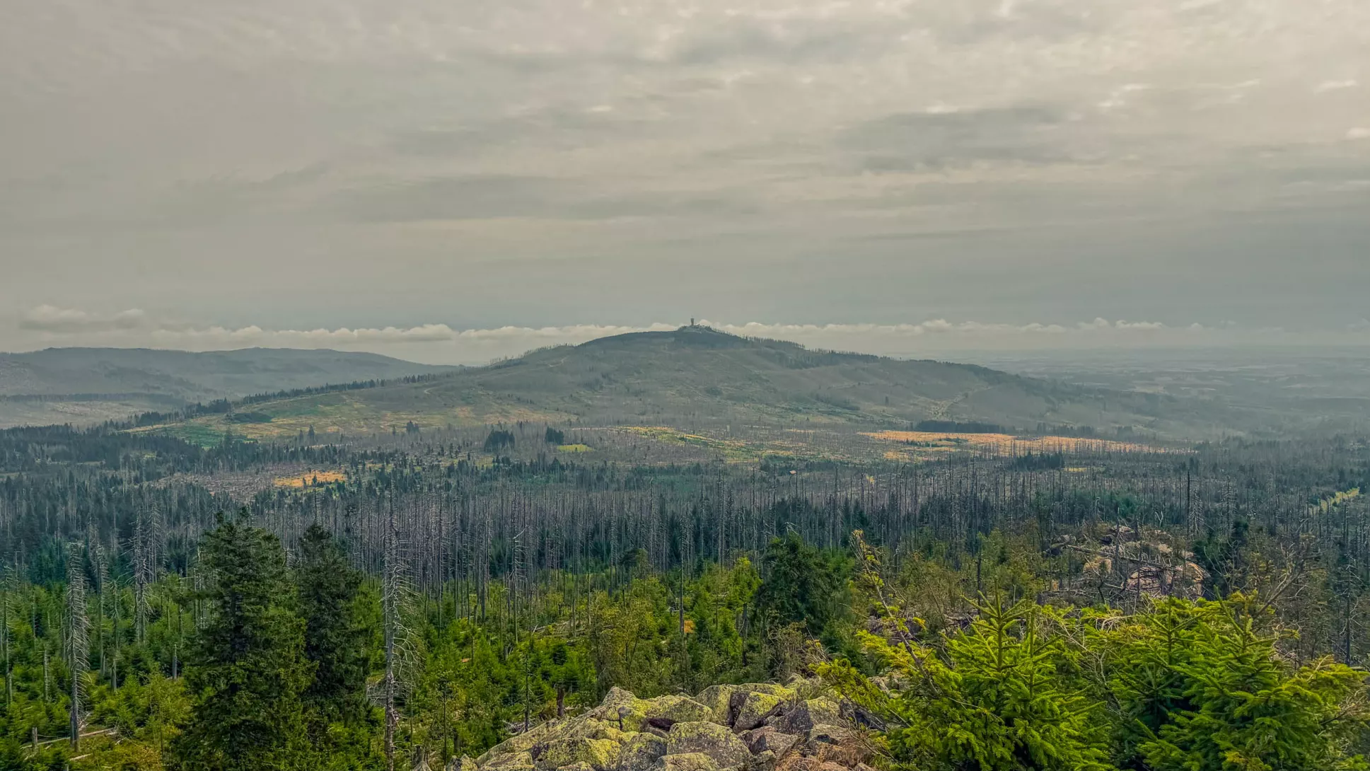 20260801.Harz.Oderbrück.und.Umgebung.Bild.36