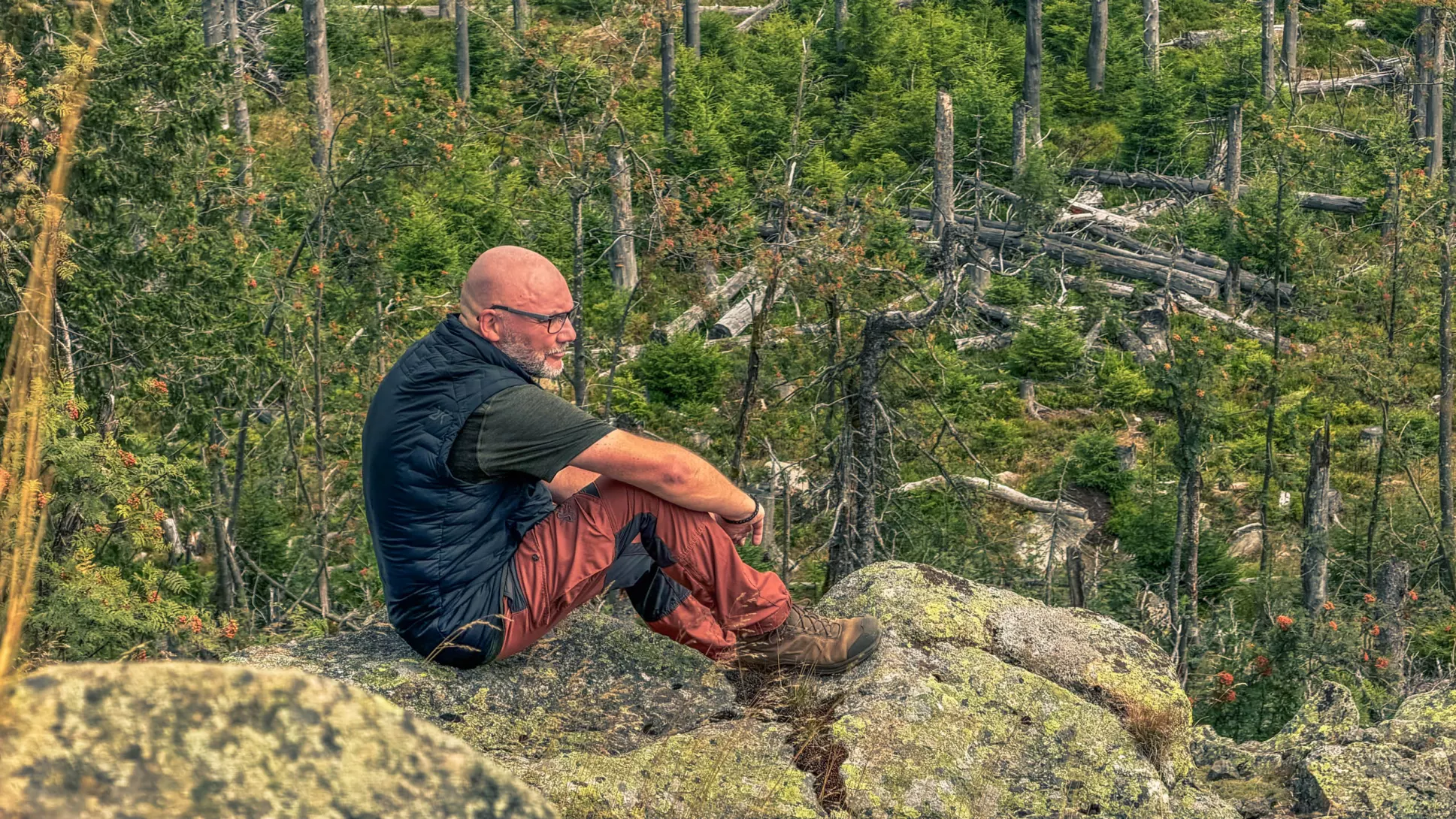 20260801.Harz.Oderbrück.und.Umgebung.Bild.40