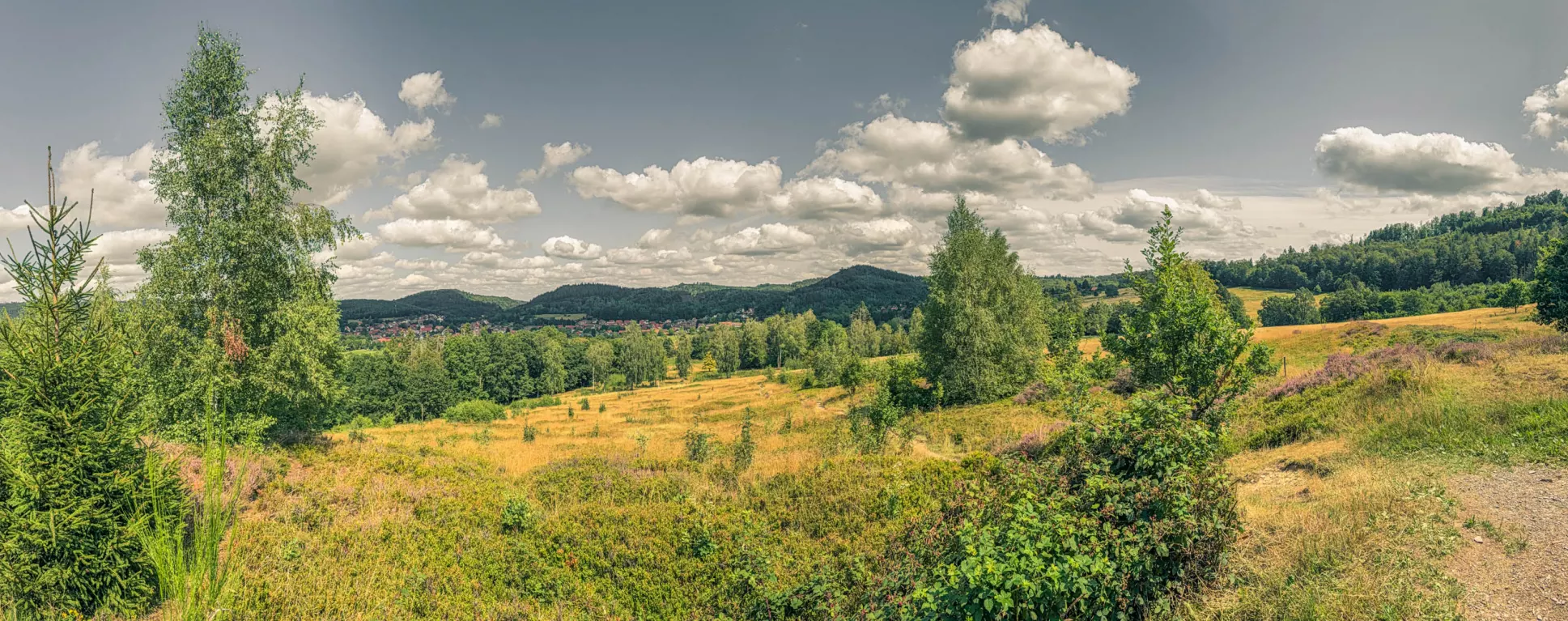 20260801.Harz.Oderbrück.und.Umgebung.Bild.46