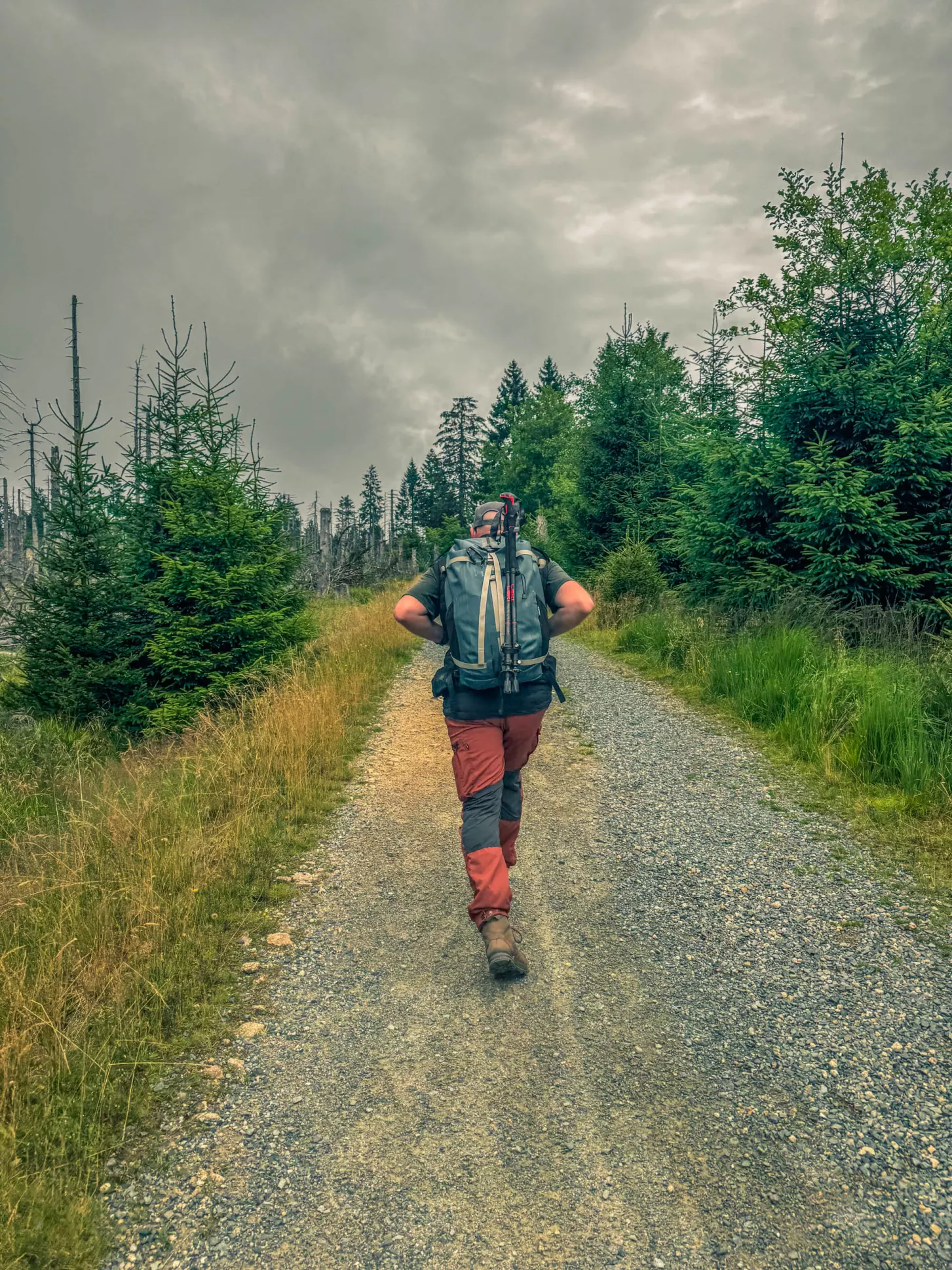 20260801.Harz.Oderbrück.und.Umgebung.Bild.51