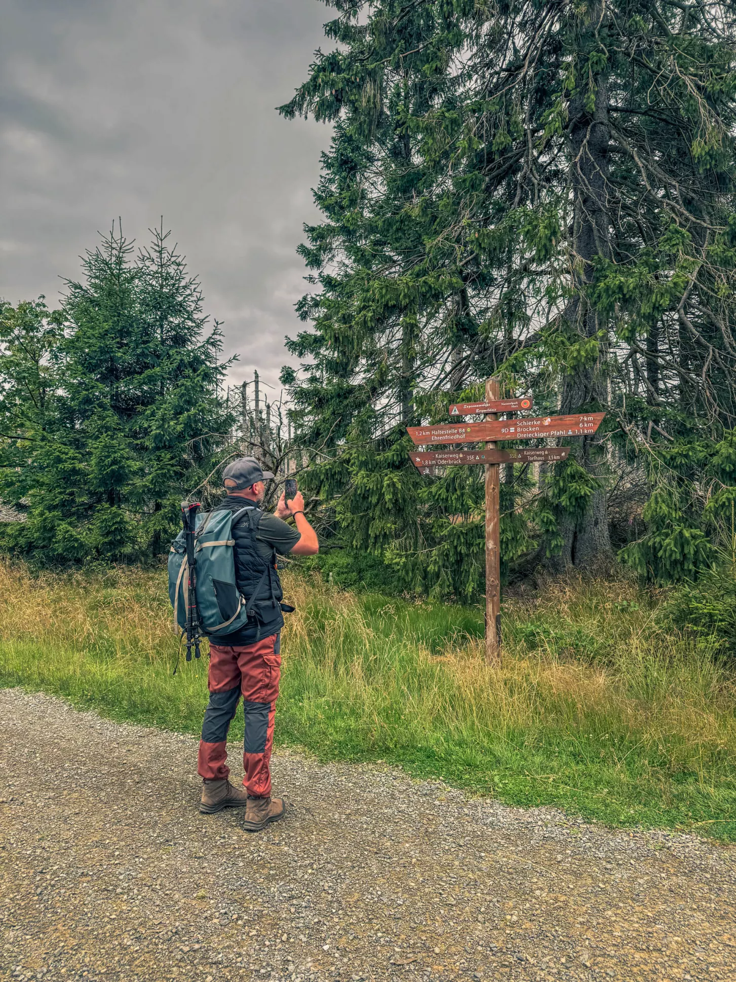 20260801.Harz.Oderbrück.und.Umgebung.Bild.52