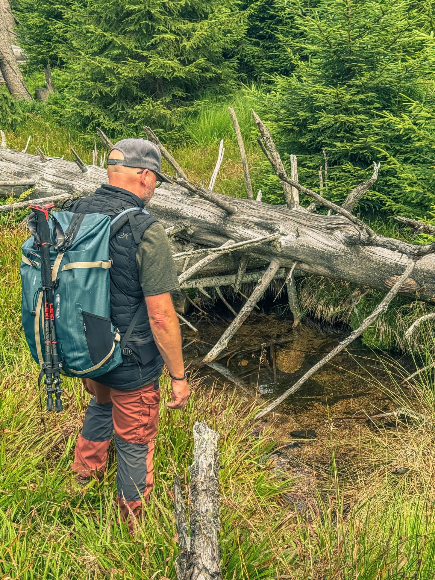 20260801.Harz.Oderbrück.und.Umgebung.Bild.53