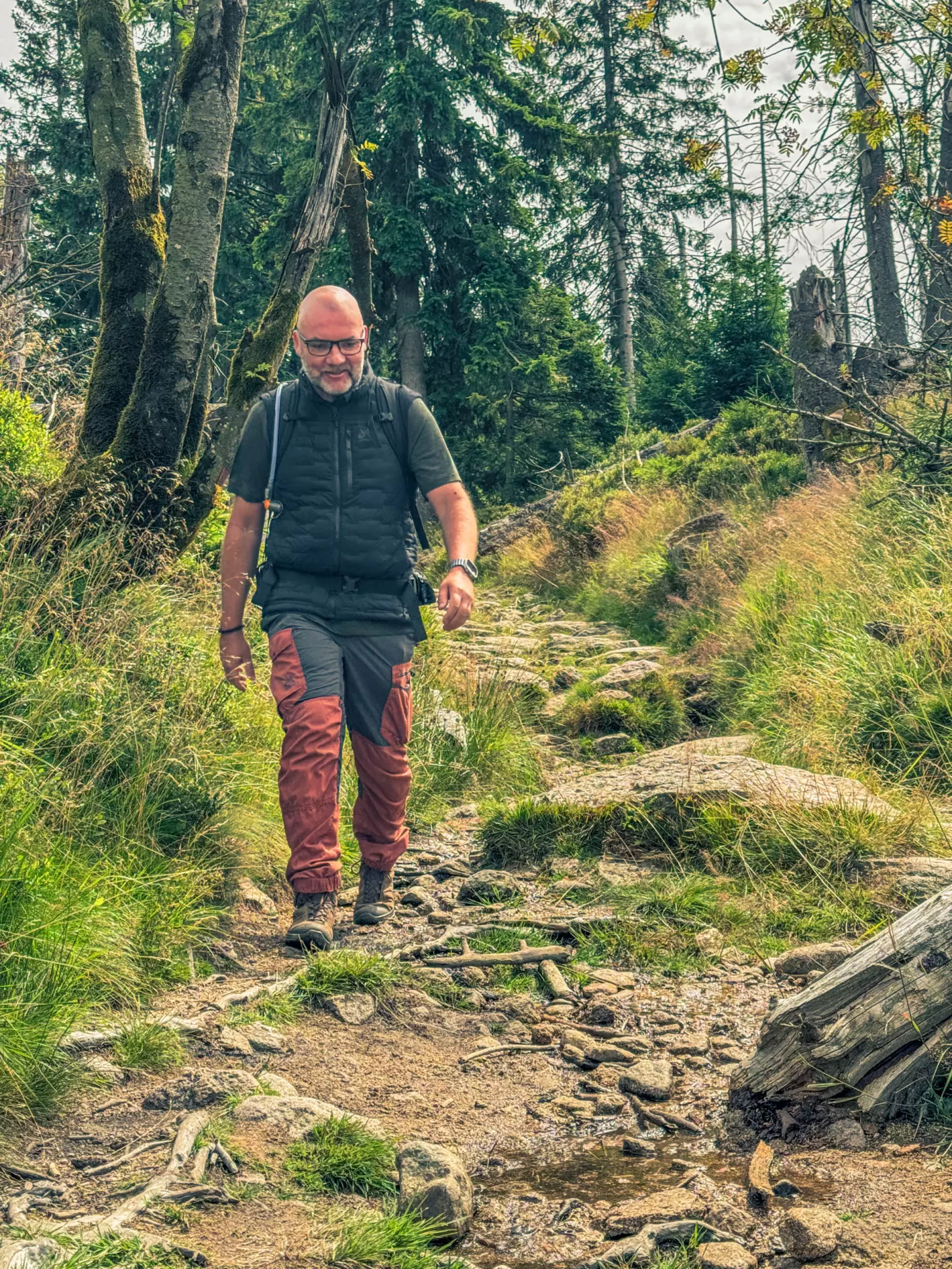 20260801.Harz.Oderbrück.und.Umgebung.Bild.57