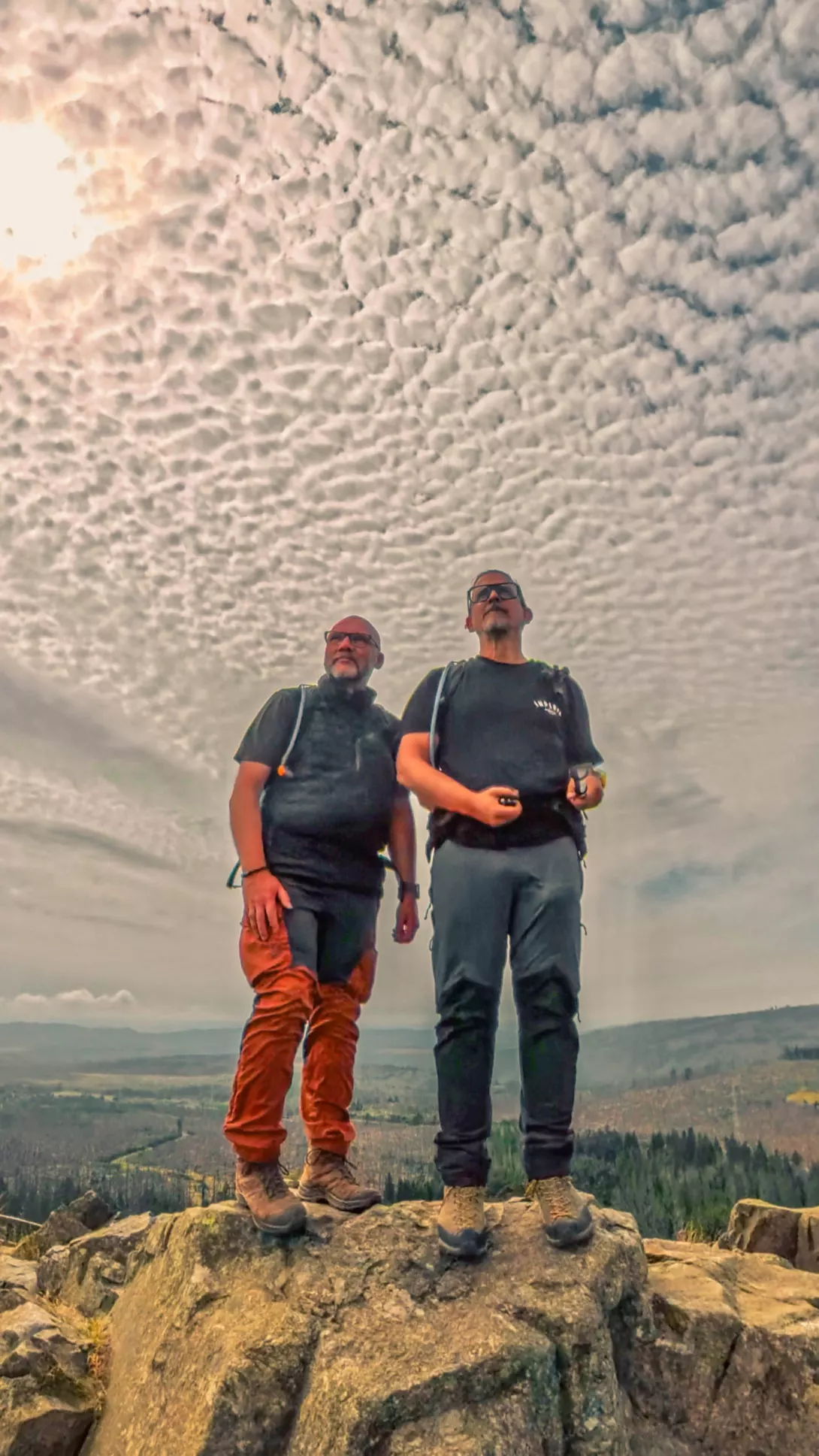 20260801.Harz.Oderbrück.und.Umgebung.Bild.59