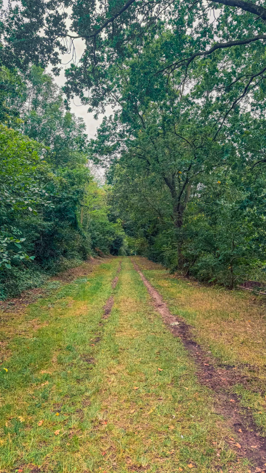 20260829.Heide.Hunte.Walk.2026.Bild.23