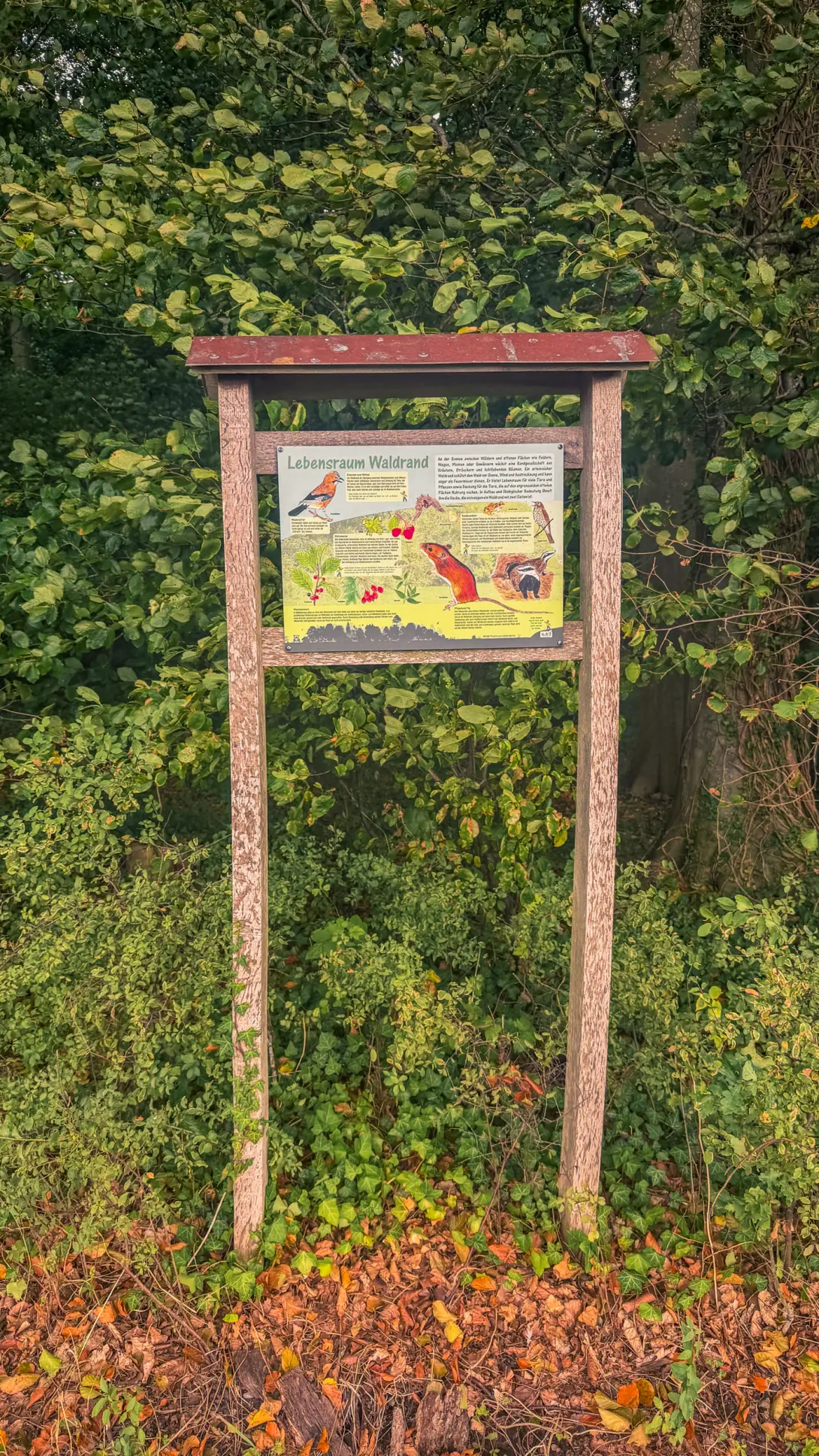 20260829.Heide.Hunte.Walk.2026.Bild.30