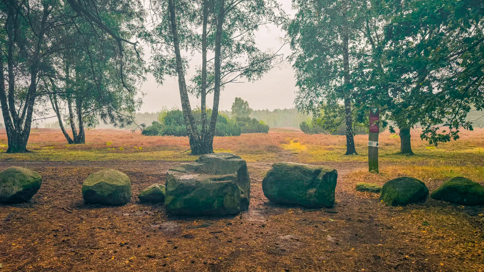 20260829.Heide.Hunte.Walk.2026.Bild.35