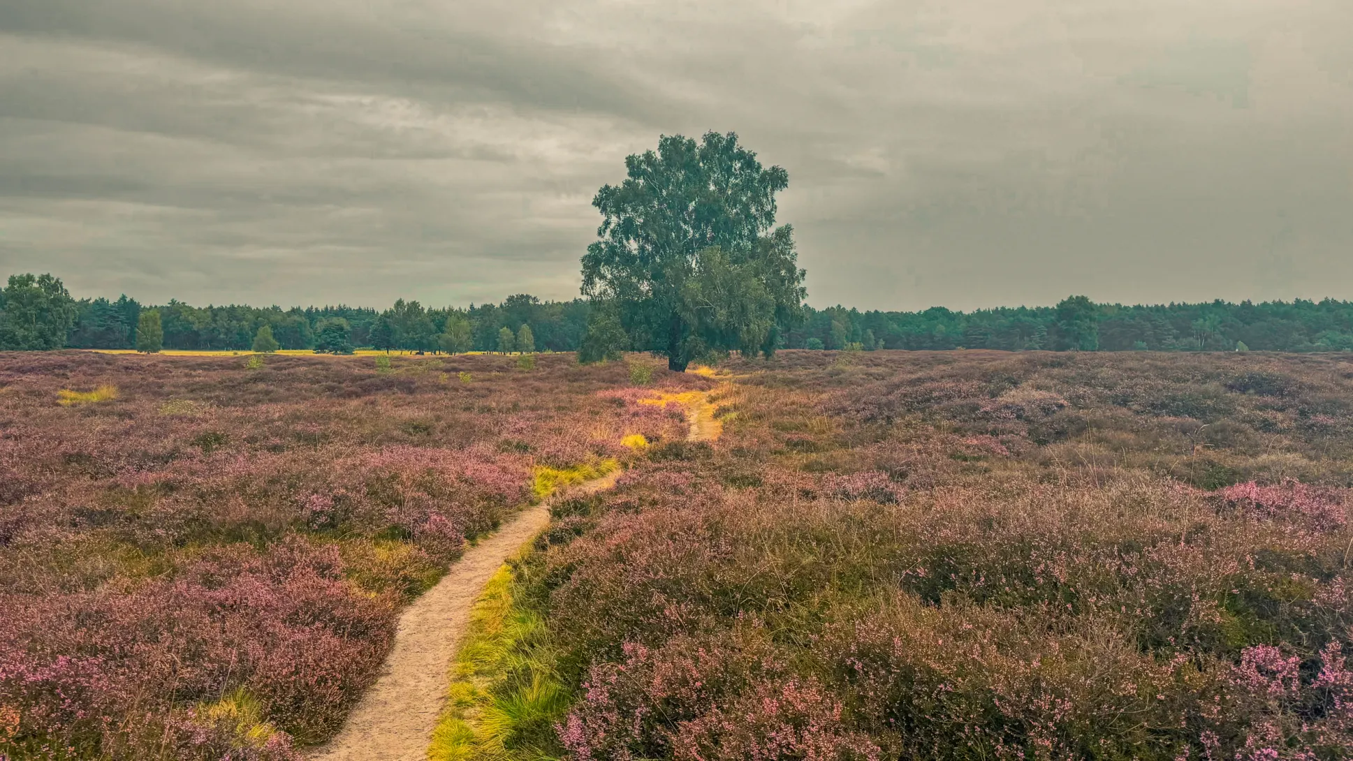 20260829.Heide.Hunte.Walk.2026.Bild.43
