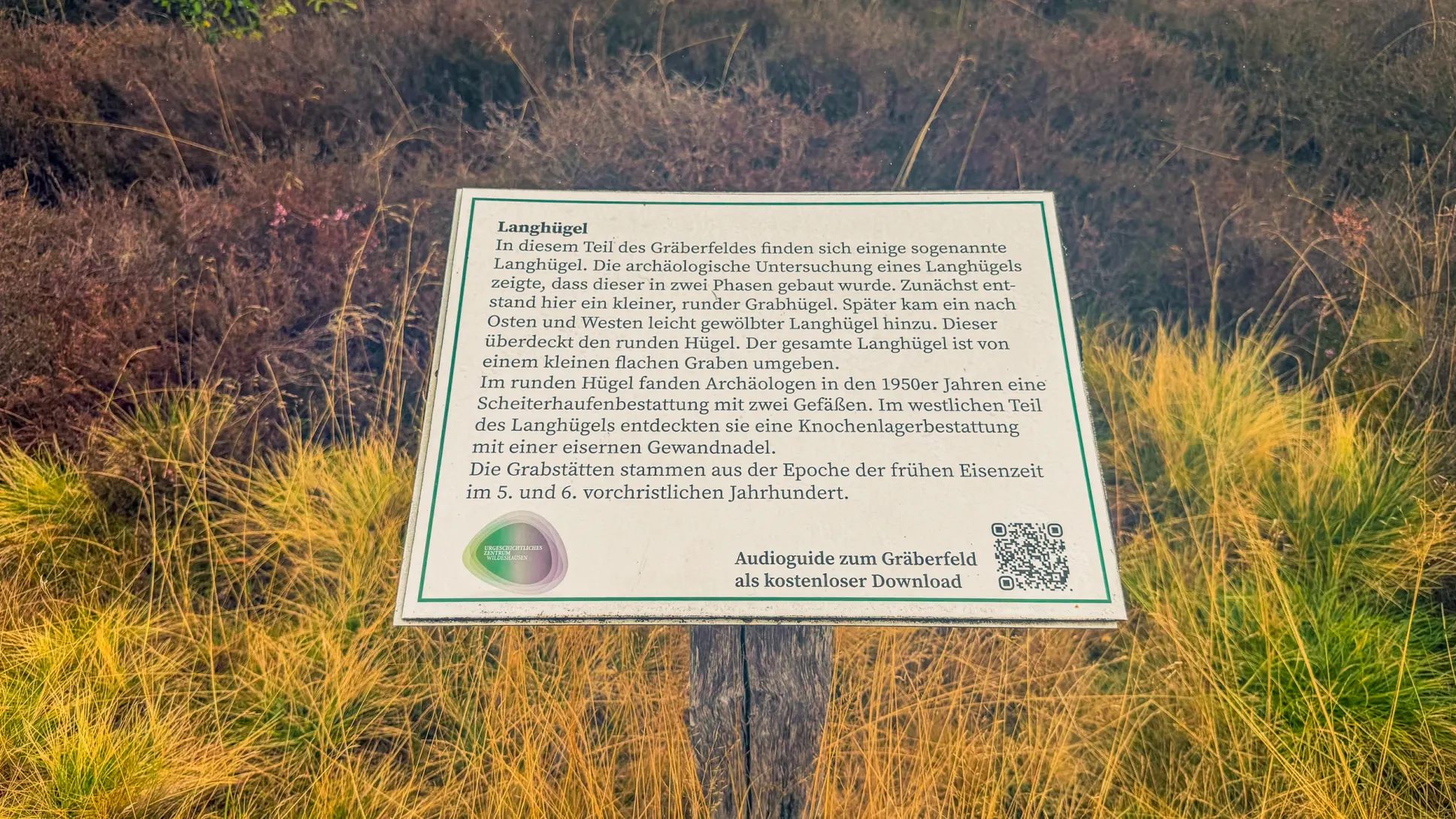 20260829.Heide.Hunte.Walk.2026.Bild.44