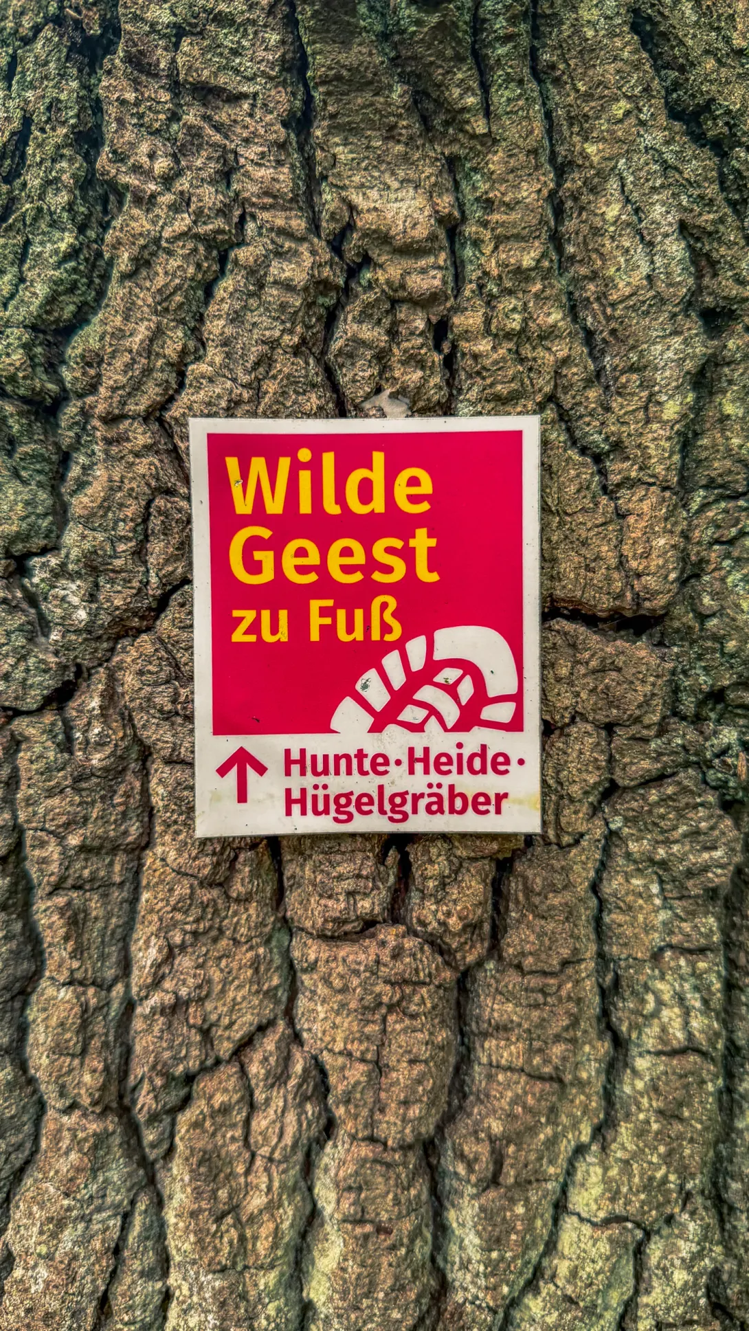 20260829.Heide.Hunte.Walk.2026.Bild.50