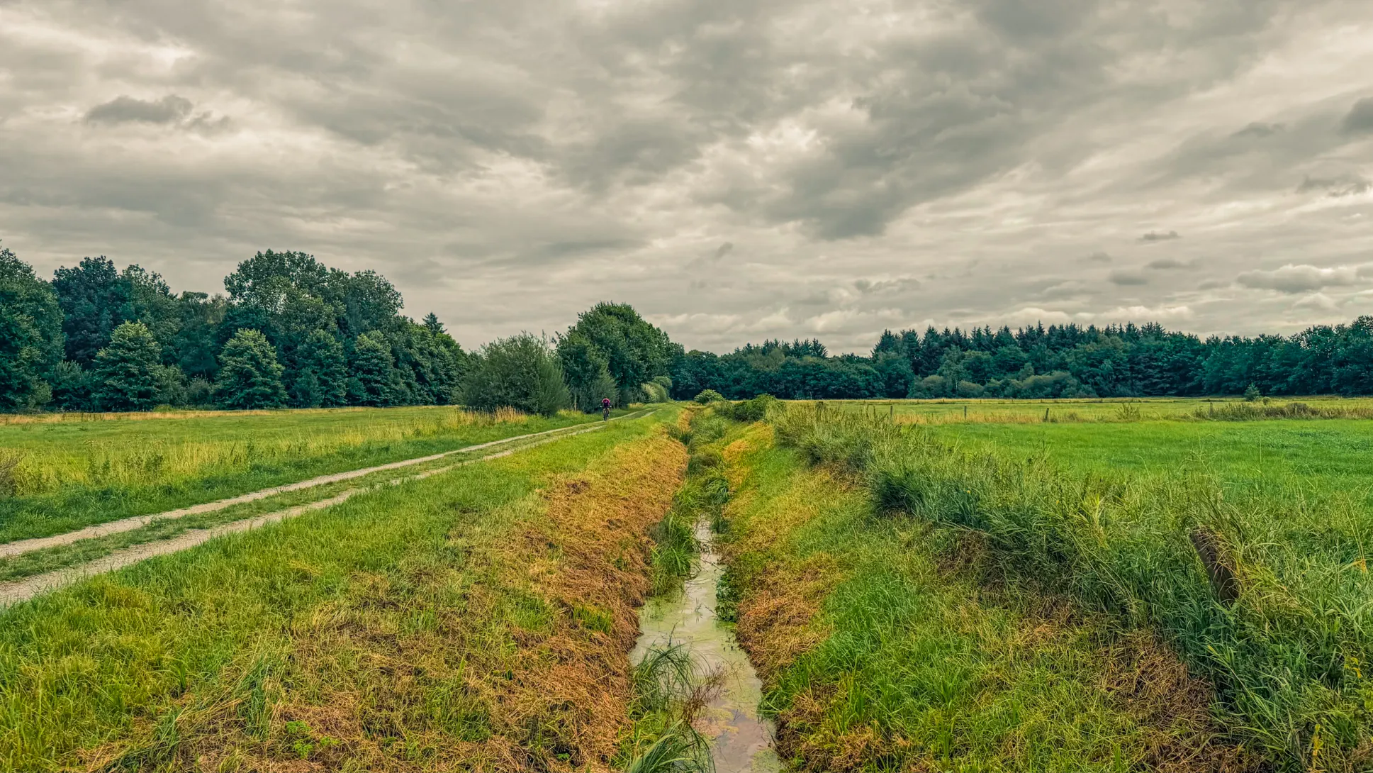 20260829.Heide.Hunte.Walk.2026.Bild.55