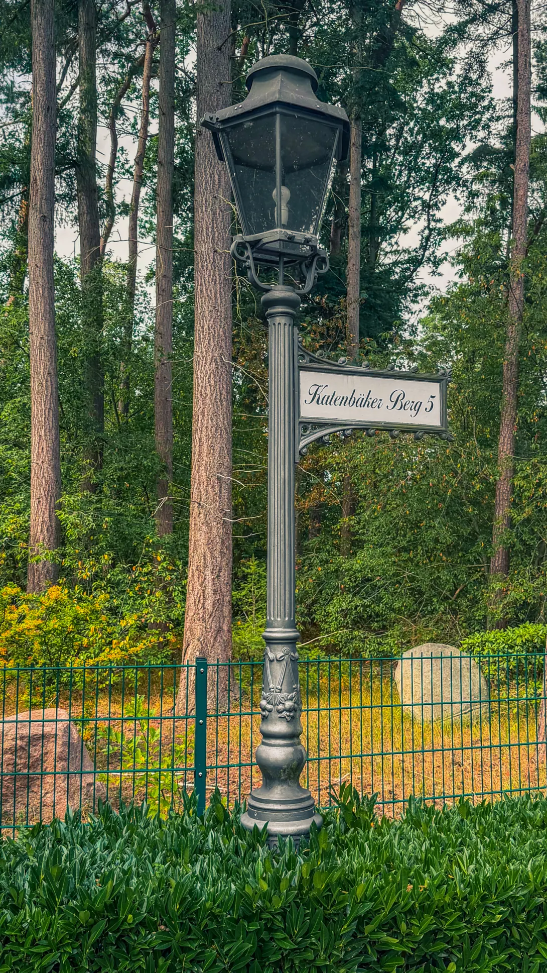 20260829.Heide.Hunte.Walk.2026.Bild.60