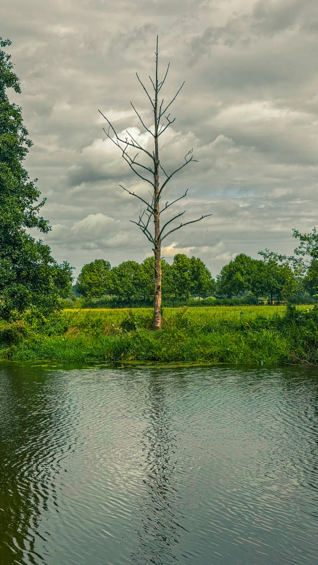20260829.Heide.Hunte.Walk.2026.Bild.66