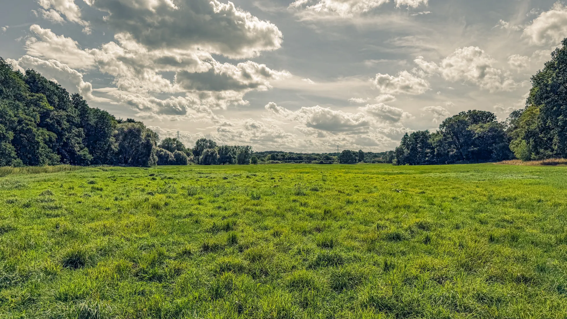 20260829.Heide.Hunte.Walk.2026.Bild.72