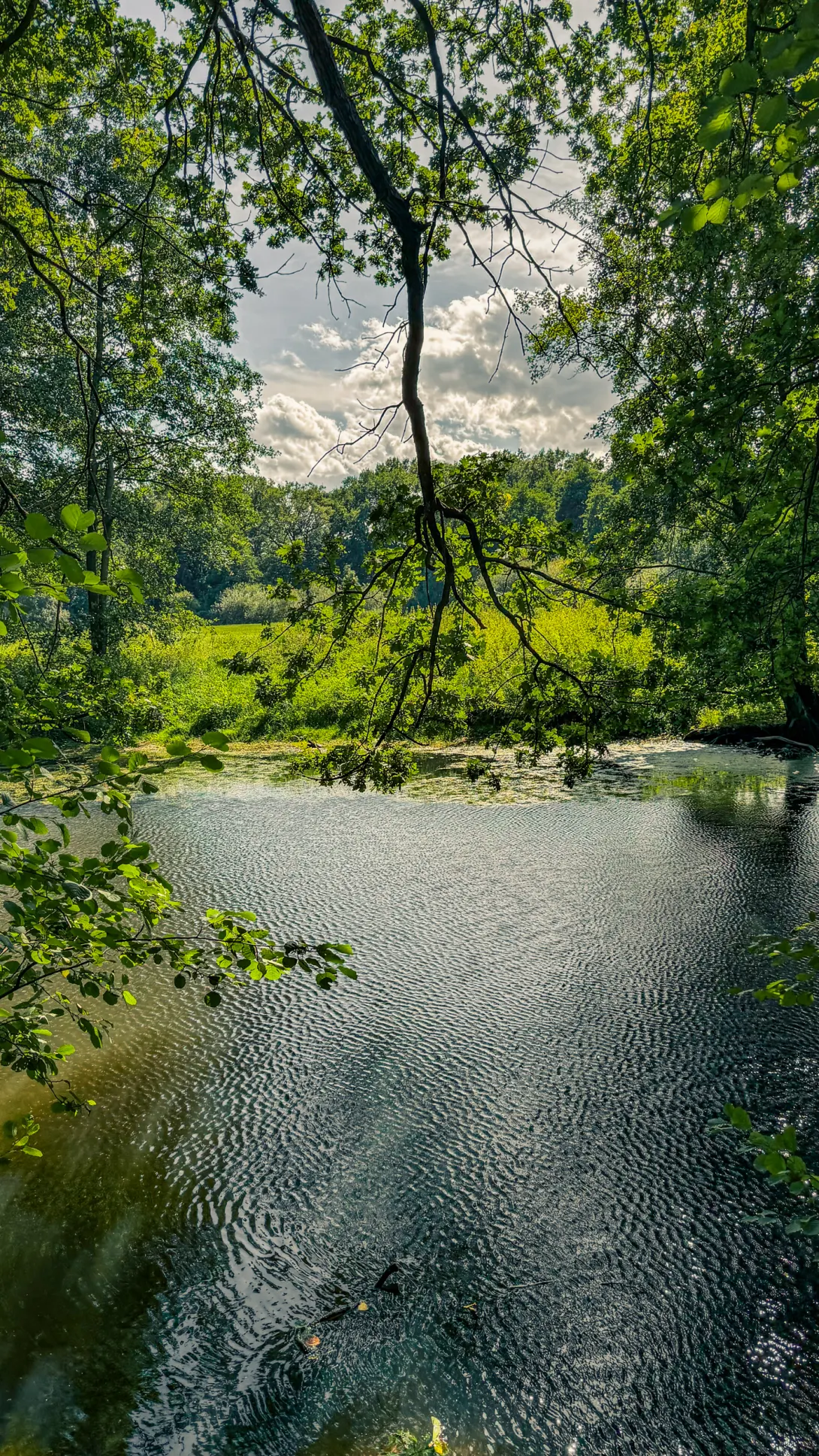 20260829.Heide.Hunte.Walk.2026.Bild.74