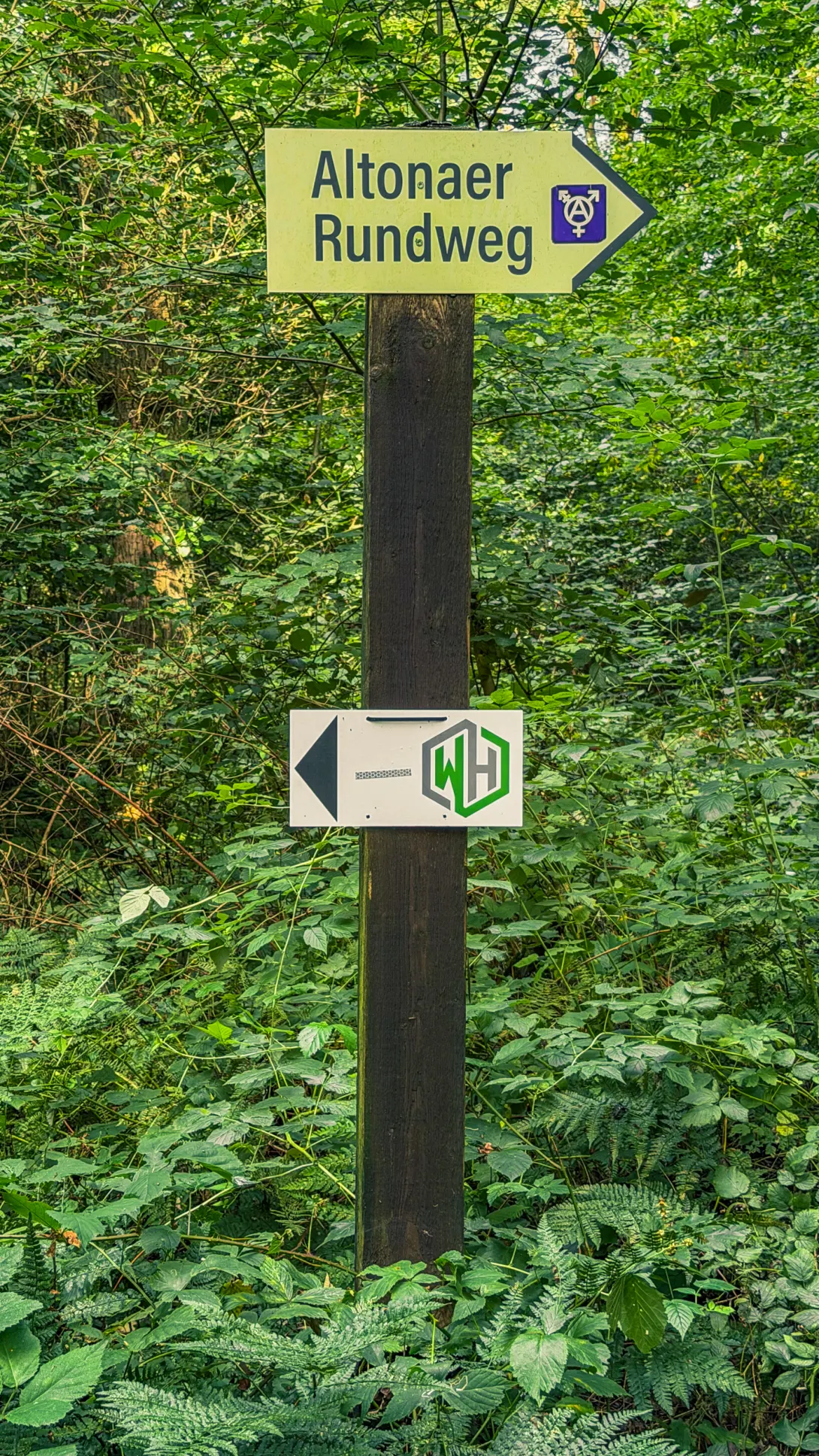 20260829.Heide.Hunte.Walk.2026.Bild.75