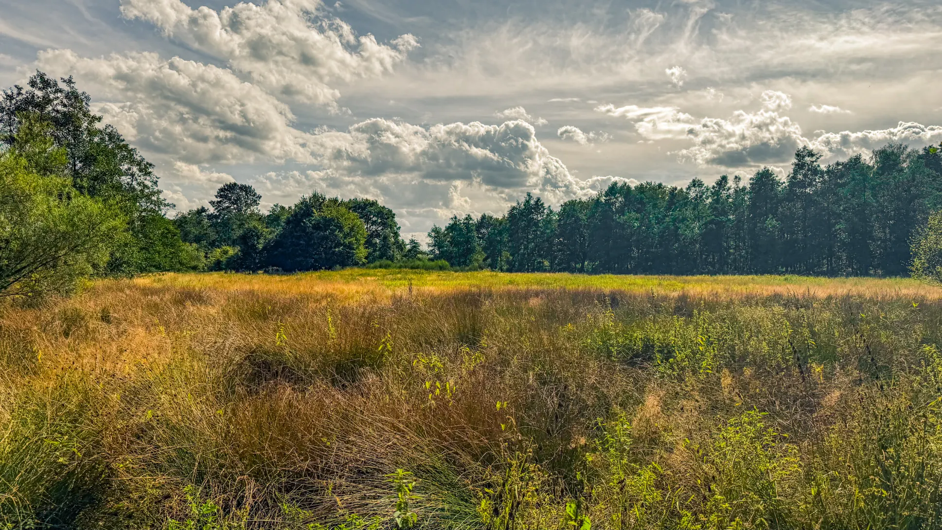 20260829.Heide.Hunte.Walk.2026.Bild.77