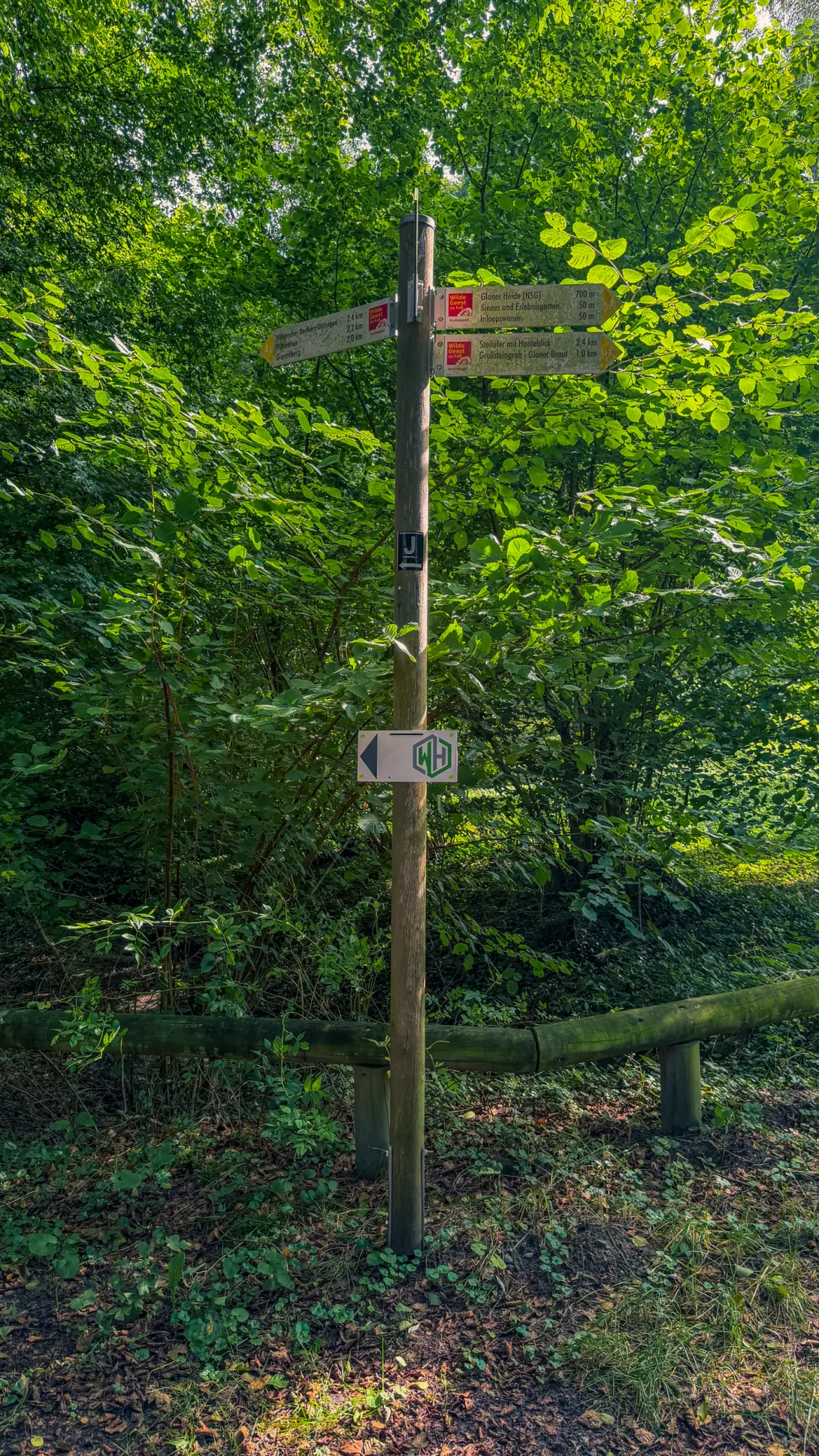 20260829.Heide.Hunte.Walk.2026.Bild.82