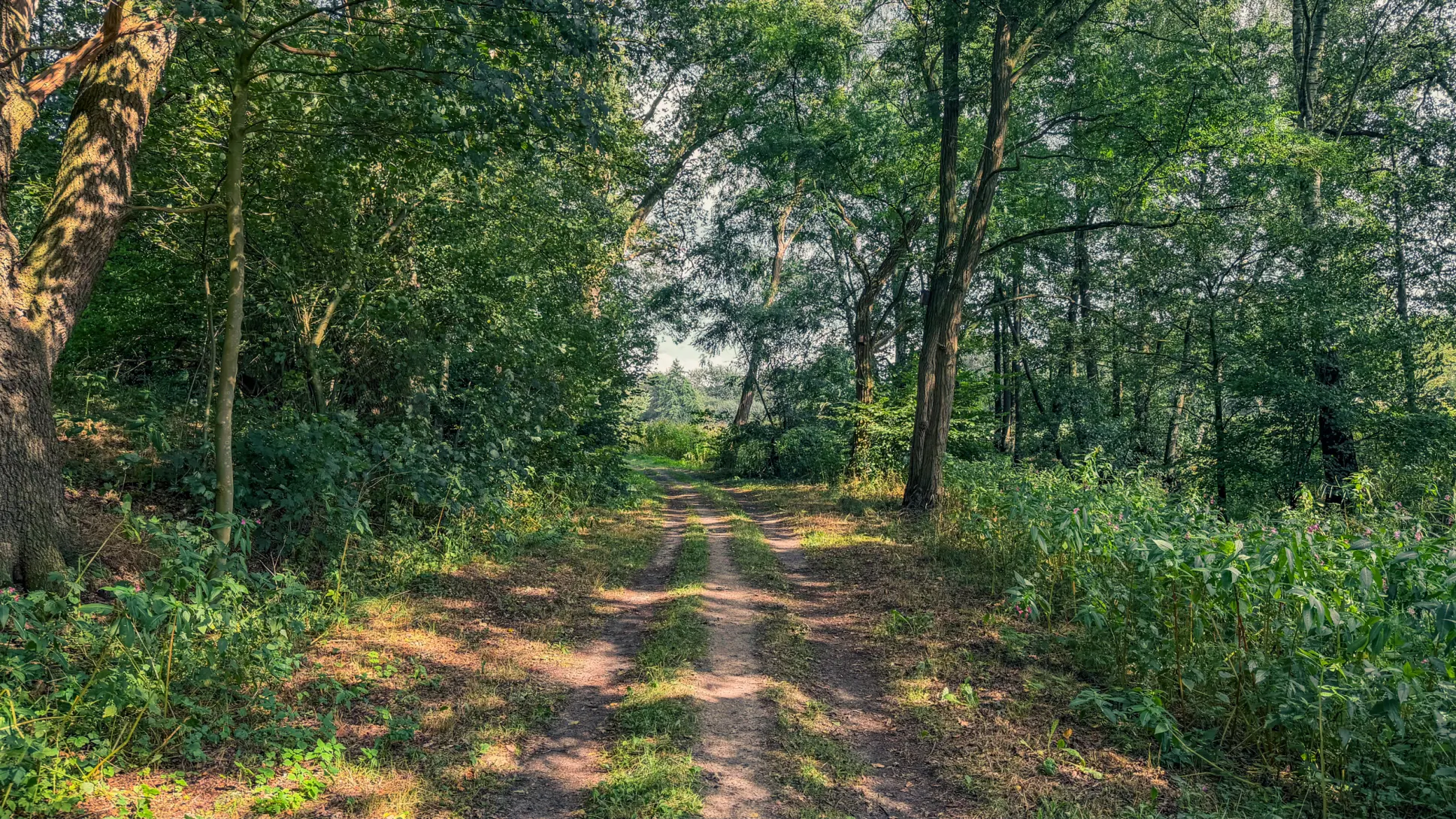 20260829.Heide.Hunte.Walk.2026.Bild.83