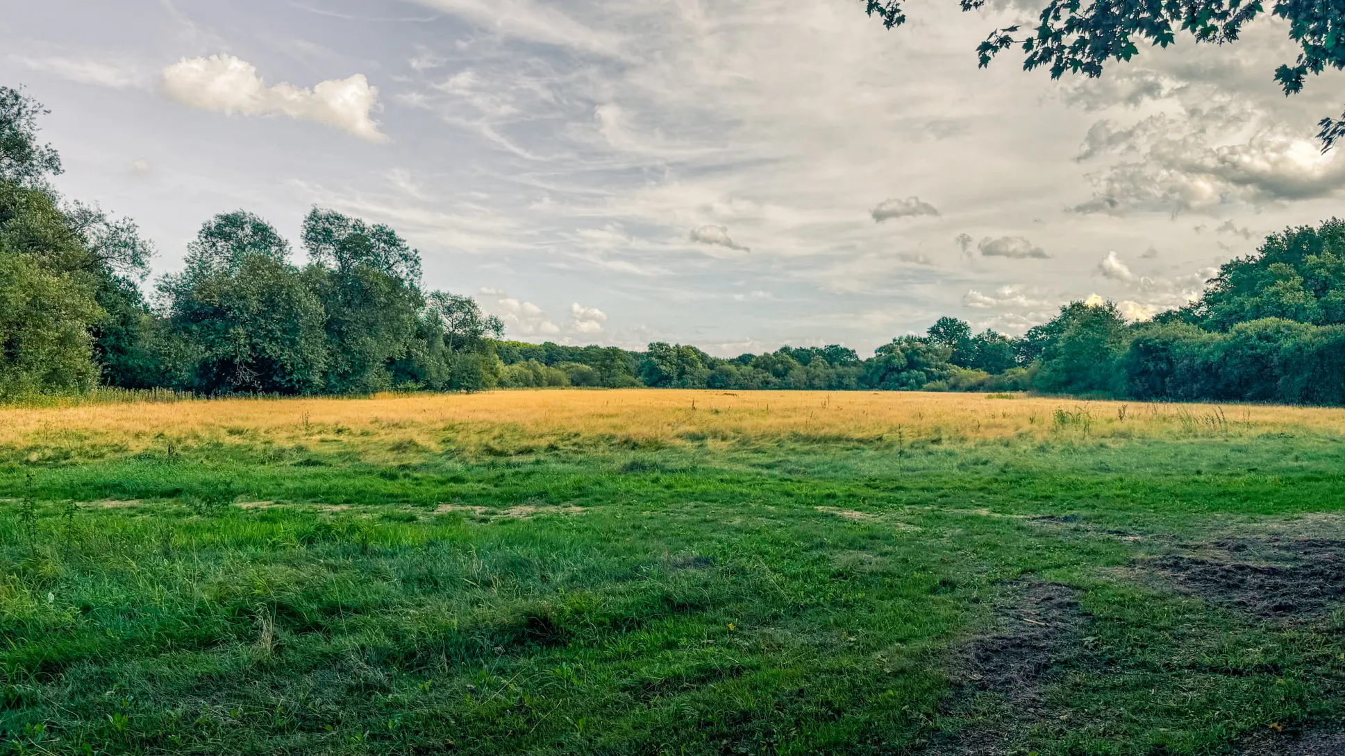 20260829.Heide.Hunte.Walk.2026.Bild.84