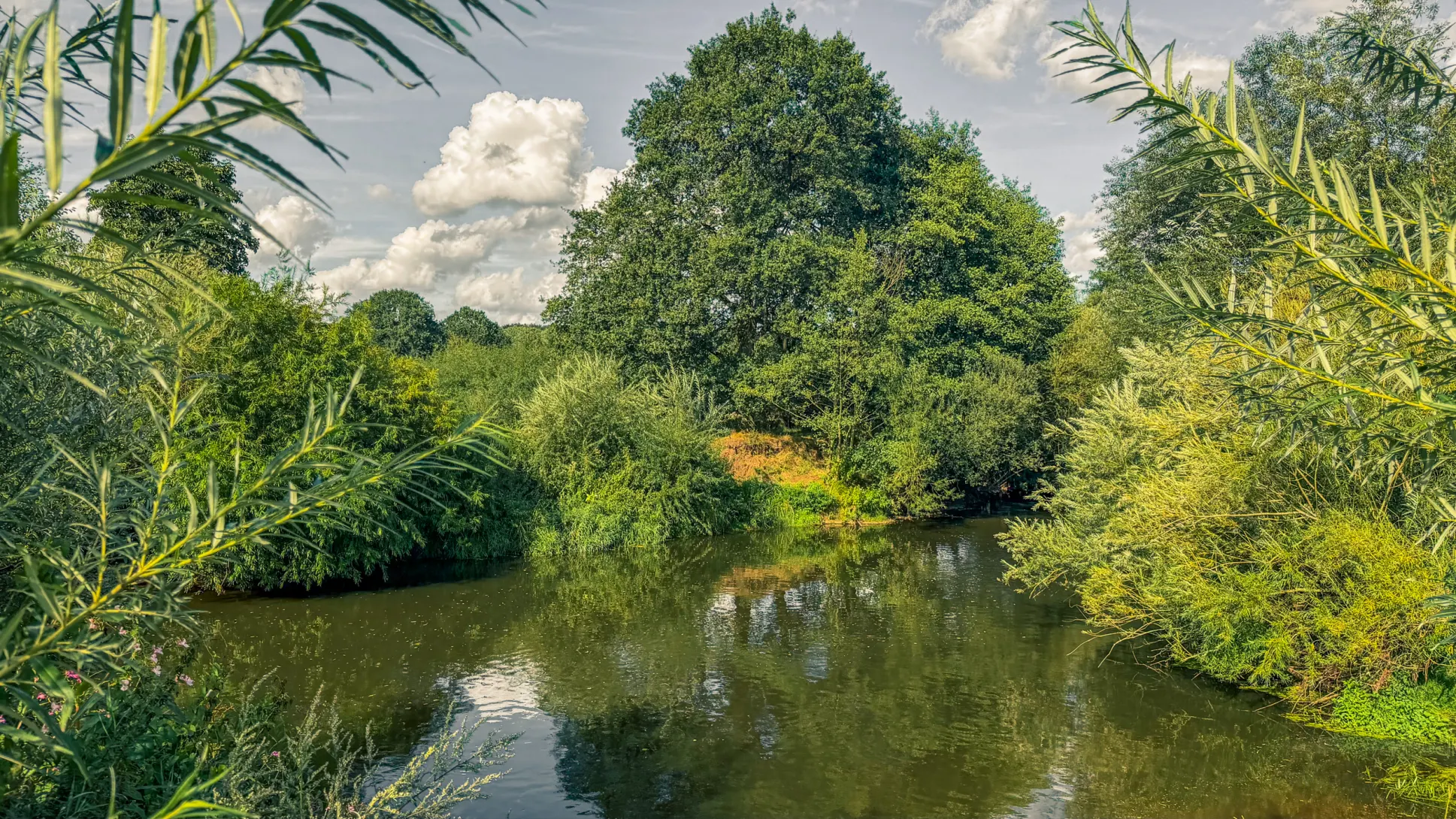 20260829.Heide.Hunte.Walk.2026.Bild.85