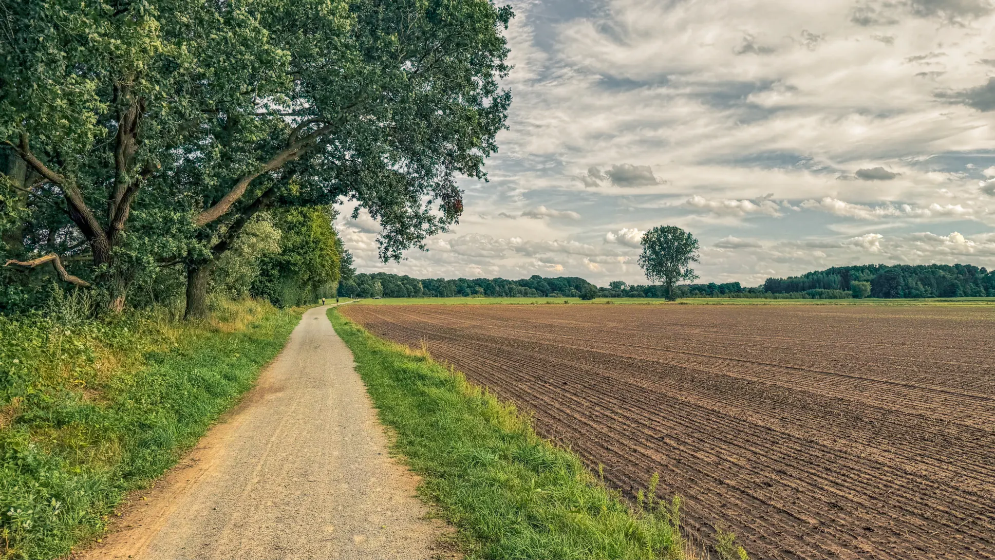 20260829.Heide.Hunte.Walk.2026.Bild.87