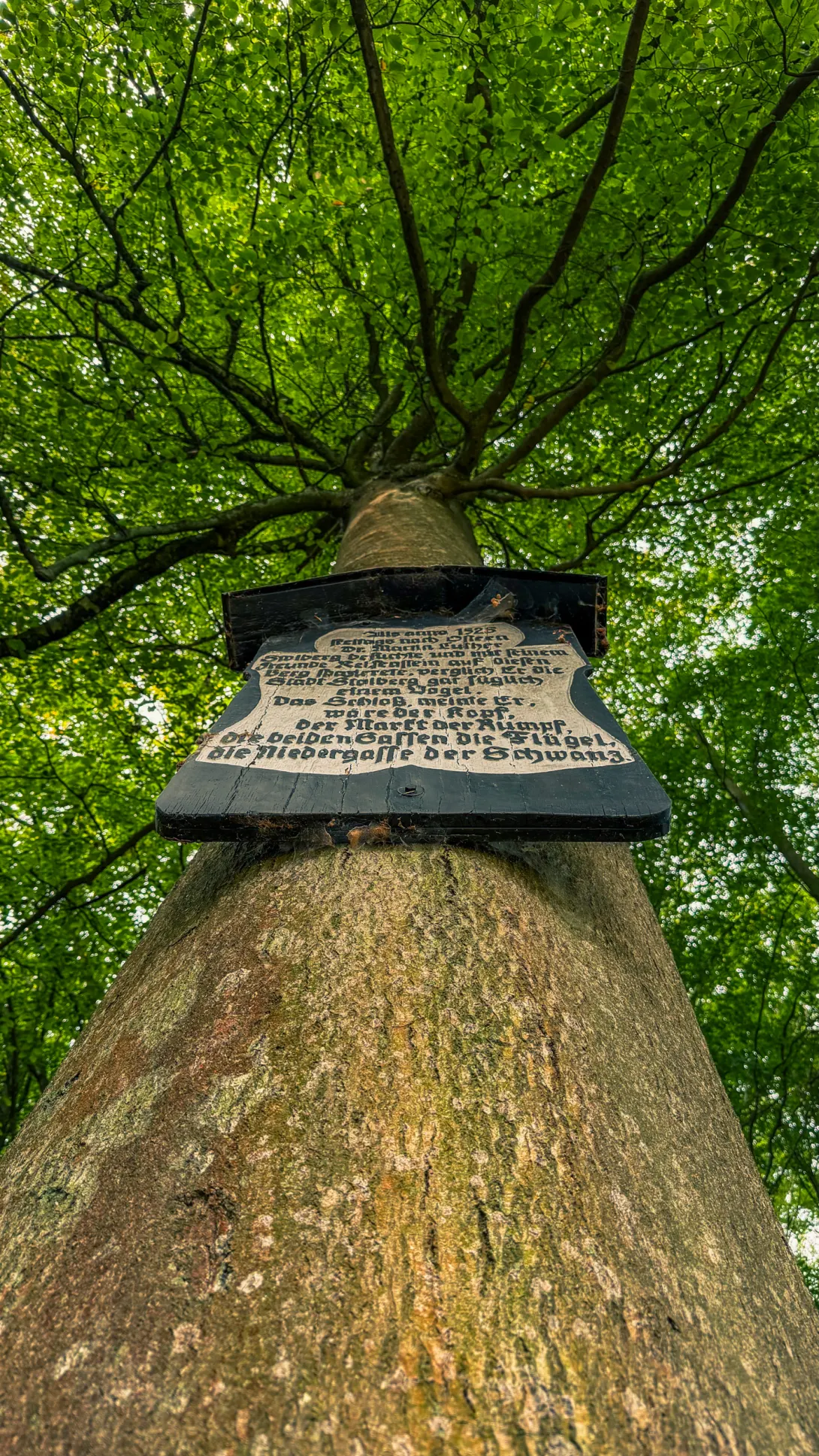 20260919.Stolberg.und.Umgebung.Bild.18 Stolberg und Umgebung: Foto 18 vom 19.09.2026