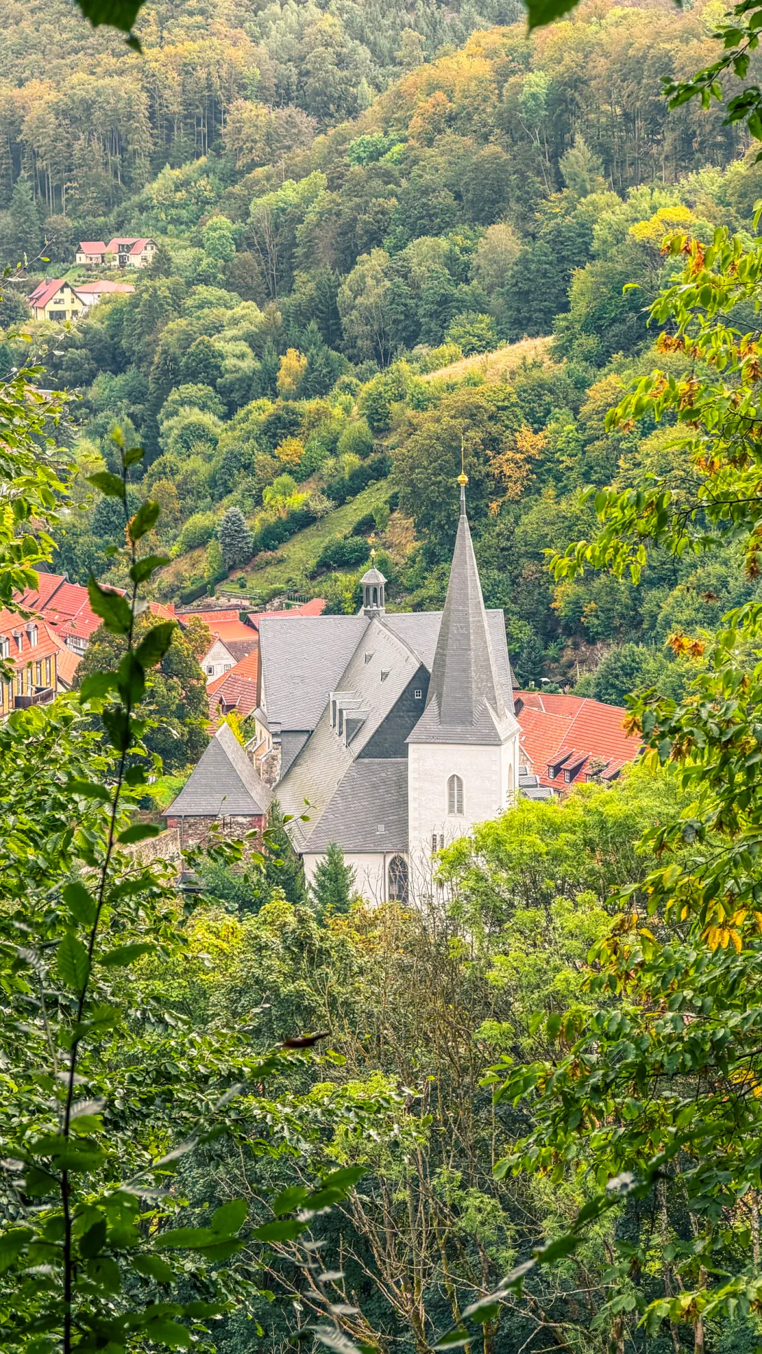 20260919.Stolberg.und.Umgebung.Bild.19 Stolberg und Umgebung: Foto 19 vom 19.09.2026