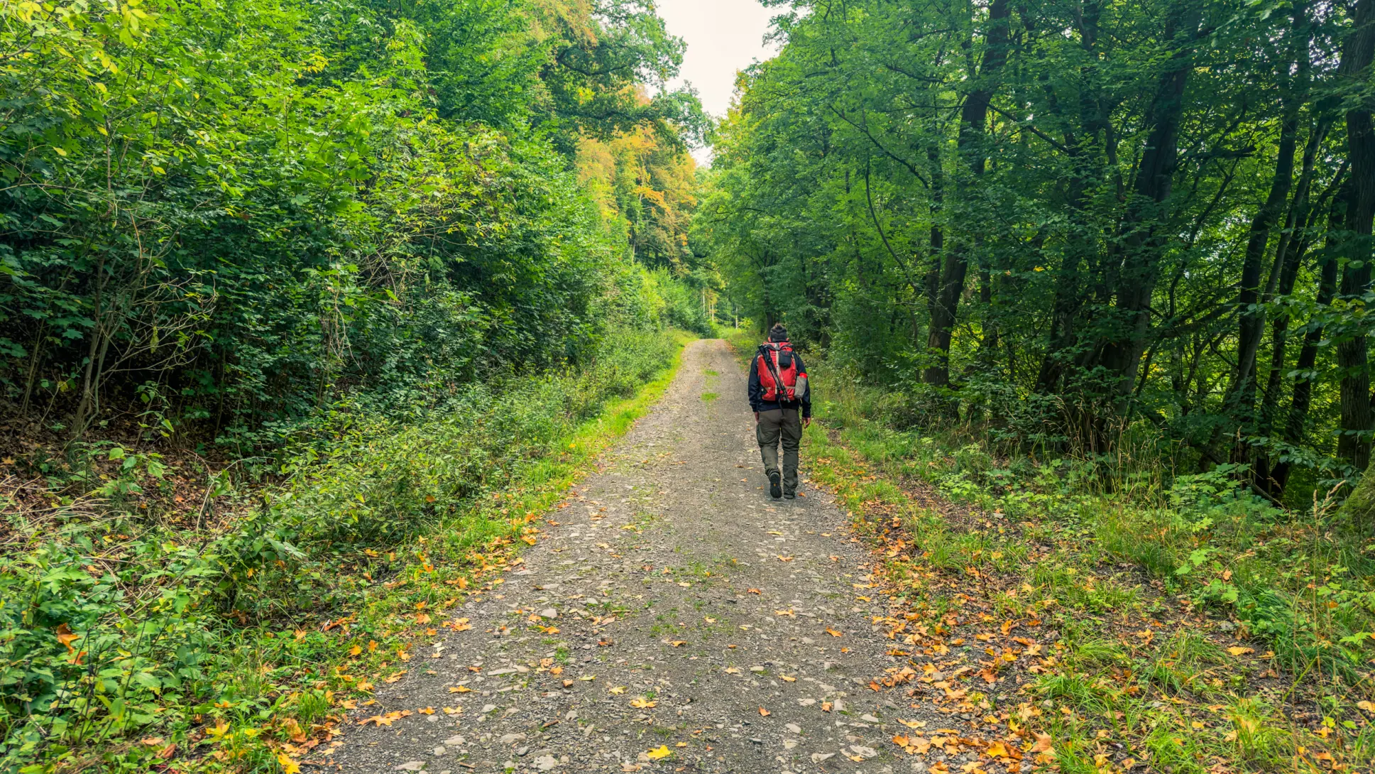 20260919.Stolberg.und.Umgebung.Bild.28 Stolberg und Umgebung: Foto 28 vom 19.09.2026