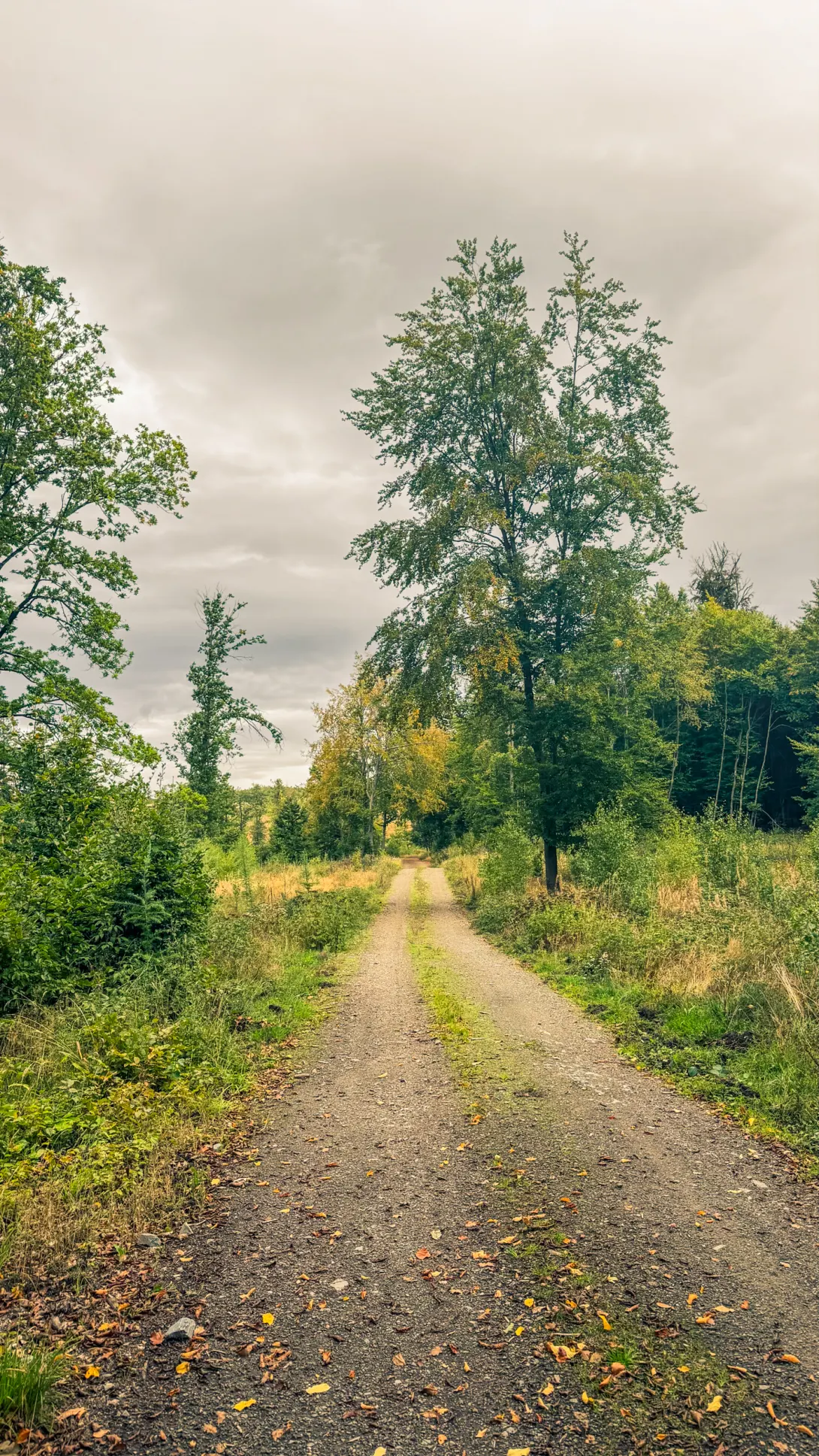 20260919.Stolberg.und.Umgebung.Bild.30 Stolberg und Umgebung: Foto 30 vom 19.09.2026