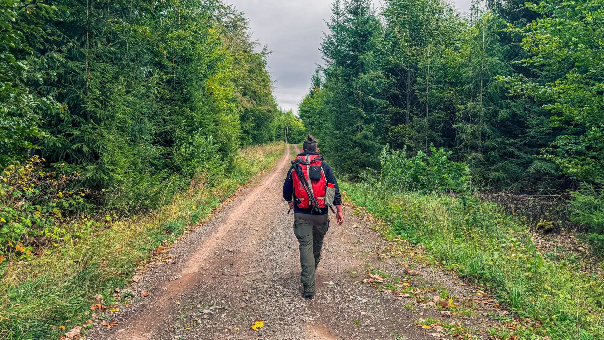 20260919.Stolberg.und.Umgebung.Bild.32 Stolberg und Umgebung: Foto 32 vom 19.09.2026