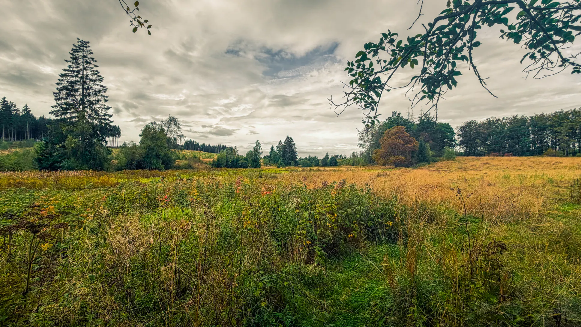 20260919.Stolberg.und.Umgebung.Bild.35 Stolberg und Umgebung: Foto 35 vom 19.09.2026