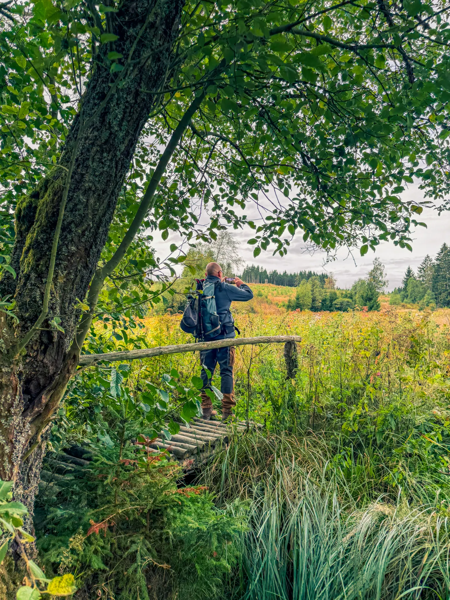 20260919.Stolberg.und.Umgebung.Bild.58 Stolberg und Umgebung: Foto 58 vom 19.09.2026
